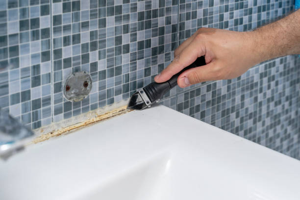 Best Mold Remediation for Schools in Glenview, IL
